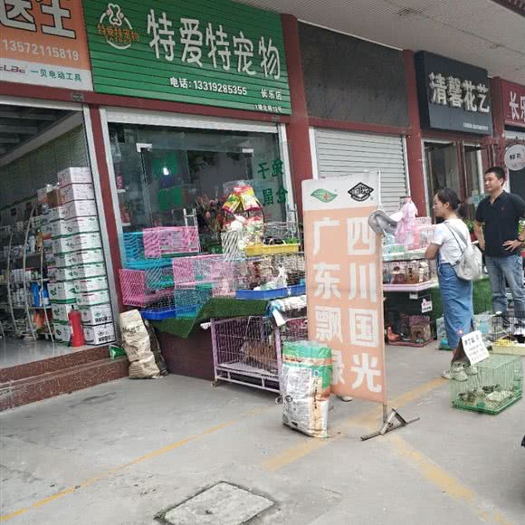 特爱特狗狗:西安市新城区韩森寨附近