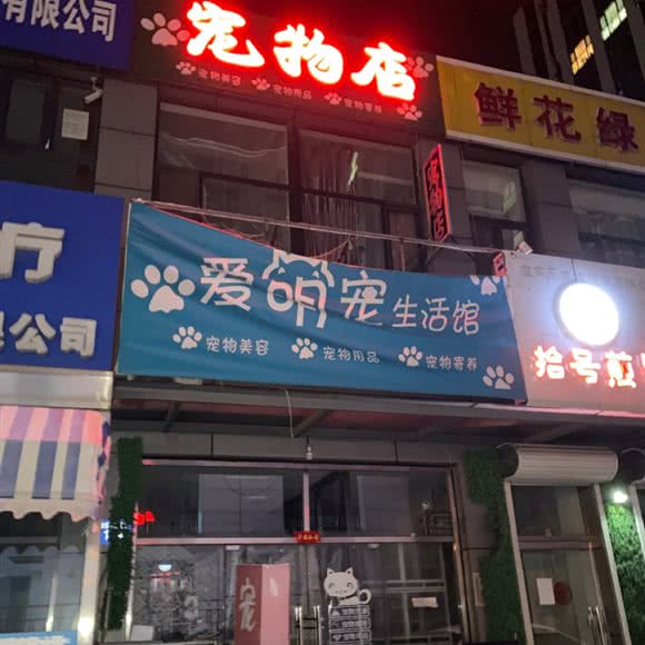 爱萌宠生活馆:唐山市路北区大里北路附近