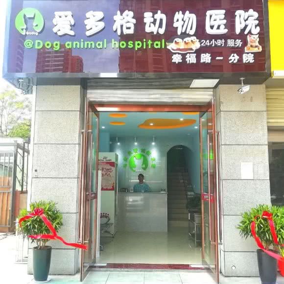 爱多格宠物医院(幸福路分店):西安市新城区韩森寨附近