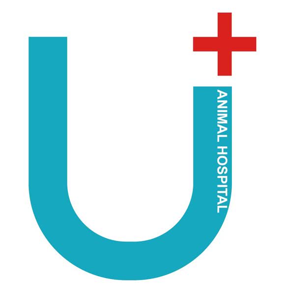 西安优嘉动物医院&猫科中心(西安优嘉动物诊疗服务中心):西安市新城区韩森寨附近