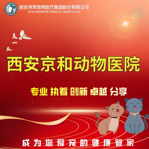 西安京和动物医院(建工路分院):西安市新城区建工路附近