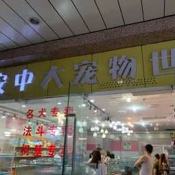 西安中大宠物世家(兴正元广场店):西安市碑林区钟楼/鼓楼附近