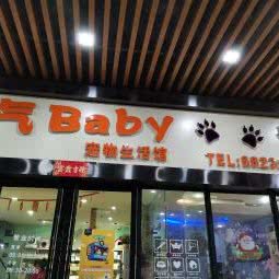 淘气baby宠物生活馆:西安市碑林区交大东校区/理工大附近