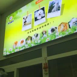 宠物精灵:西安市碑林区交大东校区/理工大附近