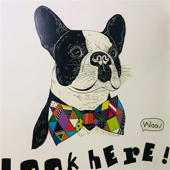 私宠阁:西安市碑林区交大东校区/理工大附近