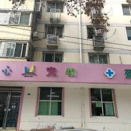 爱心宠物:西安市碑林区交大东校区/理工大附近