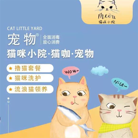 猫咪小院·猫咖·宠物(中贸广场店):西安市碑林区小雁塔/南稍门附近