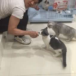 尚宠之道(世纪金花店):西安市碑林区小雁塔/南稍门附近