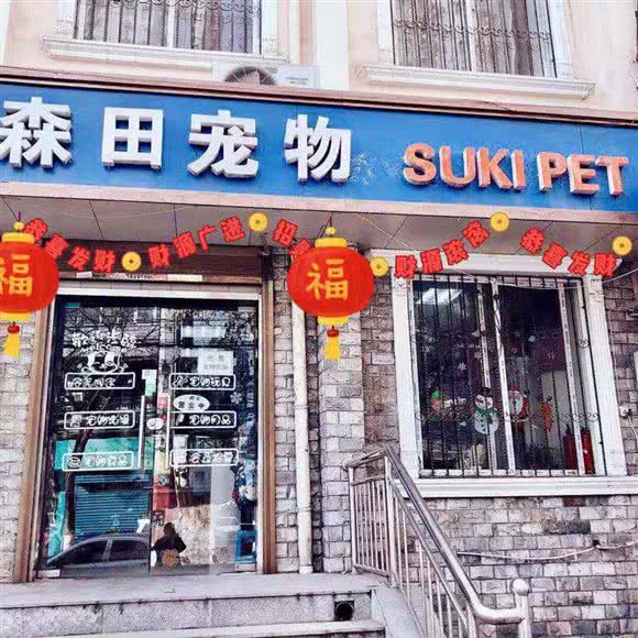 森田宠物(南门店):西安市碑林区小雁塔/南稍门附近