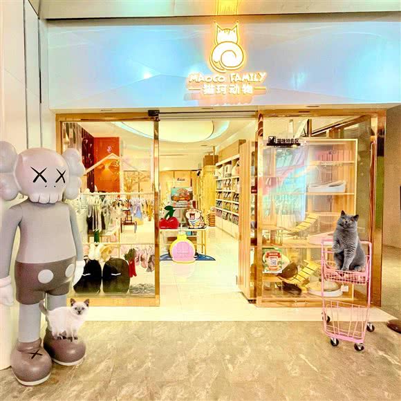 猫珂动物宠物生活馆(南稍门店):西安市碑林区小雁塔/南稍门附近