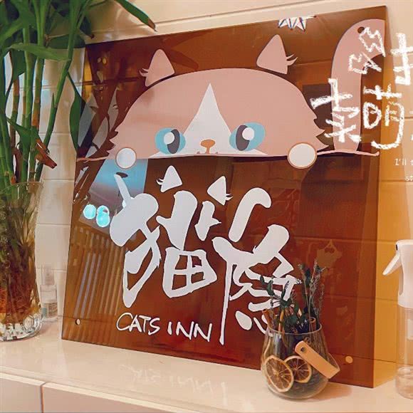 猫隐布偶猴子咖 Cats Inn:西安市碑林区小雁塔/南稍门附近
