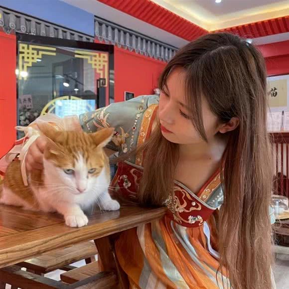 唐韵·喵府·猫咖·撸猫馆·汉服感受:西安市碑林区小雁塔/南稍门附近