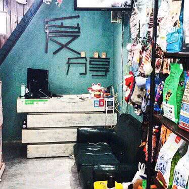 新萌宠物(太白北路店):西安市碑林区西北大/西工大附近