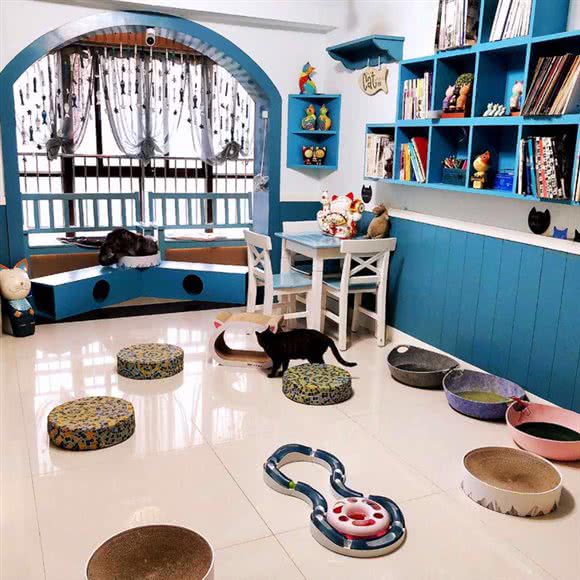 喵部落宠物生活馆:西安市碑林区东门外附近