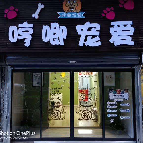 哼唧宠爱:西安市碑林区东门外附近