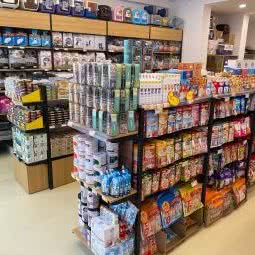 猫样日常生活:西安市碑林区文艺路附近