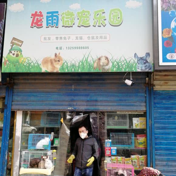 龙雨微宠乐园:西安市碑林区文艺路附近