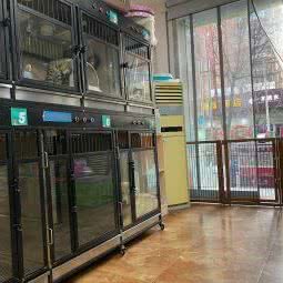 玮玮宠物玩家:西安市碑林区文艺路附近