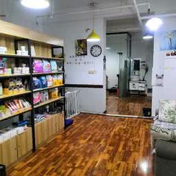 提琴与猫宠物店(兴化东巷店):西安市碑林区何家村/黄雁村附近