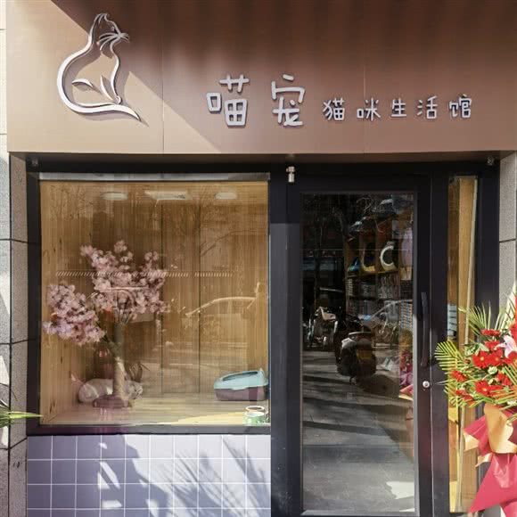 喵宠猫咪生活馆:西安市碑林区广济街附近