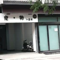 M星球宠物馆:西安市碑林区东关正街附近
