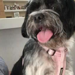 you+派特:西安市碑林区南二环东段附近