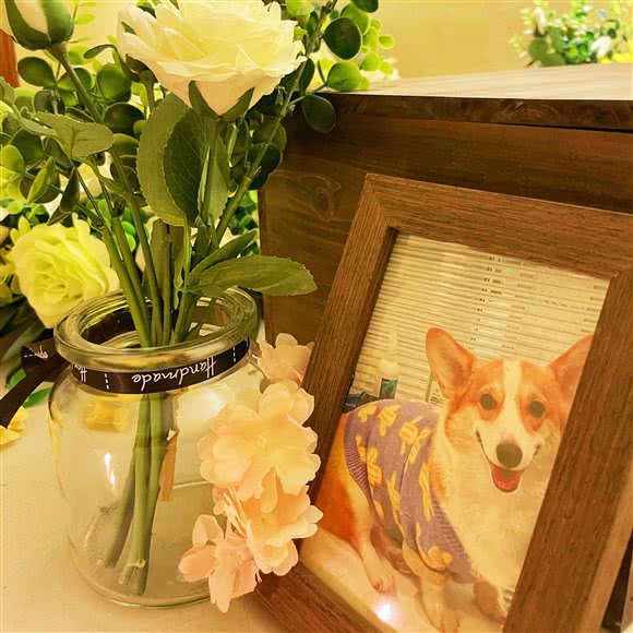 宠伴宠物火化宠物殡葬善后中心(西安总店):西安市碑林区南二环东段附近