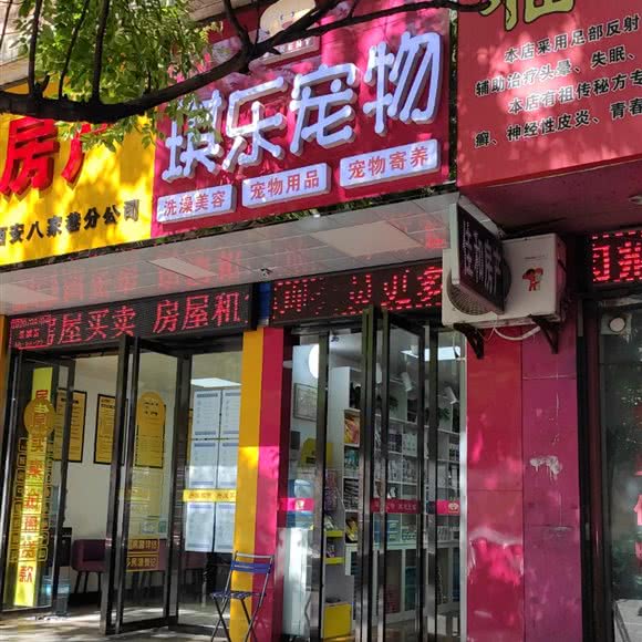 琪乐宠物:西安市莲湖区安定门附近