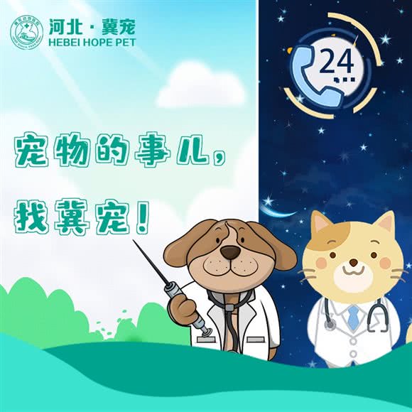 冀宠动物医院（中心医院）24H:唐山市路北区北新道附近