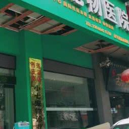 小七宠物医院:西安市莲湖区安定门附近