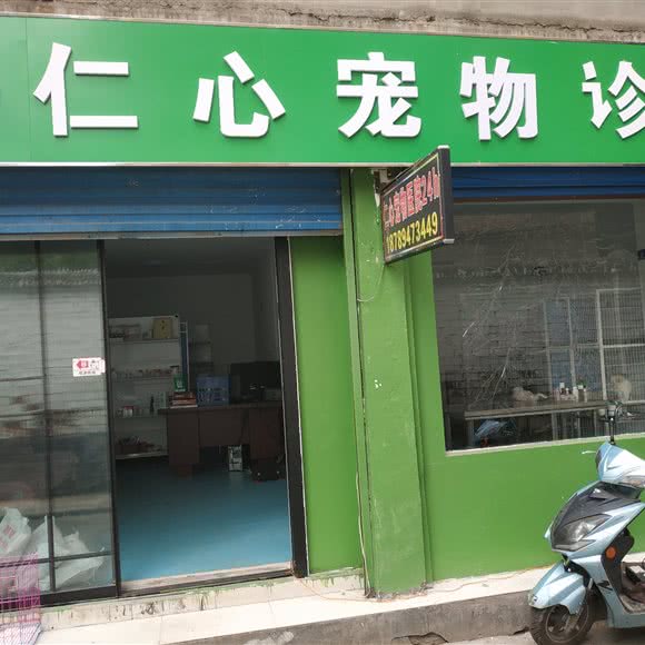 仁心宠物诊所:西安市莲湖区安定门附近