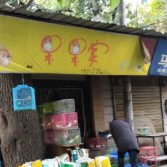 果果家宠物店:西安市莲湖区大皮院/西羊市附近