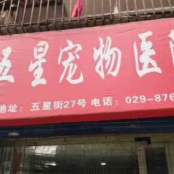 五星宠物医院:西安市莲湖区甜水井附近