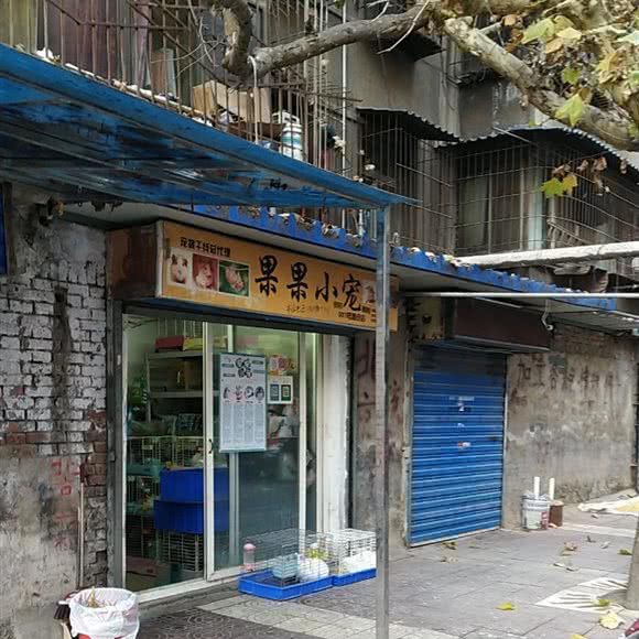 果果小宠(西仓店):西安市莲湖区莲湖公园附近
