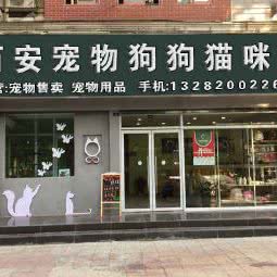 西安宠物狗狗猫咪店:西安市莲湖区北关附近