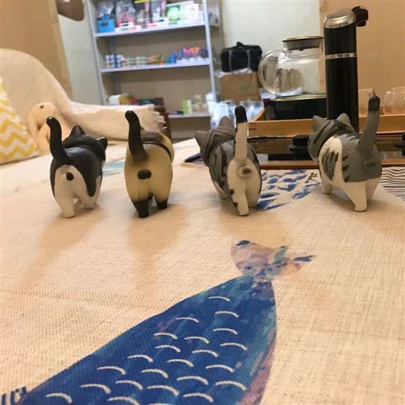 Kan·猫舍:西安市莲湖区北关附近