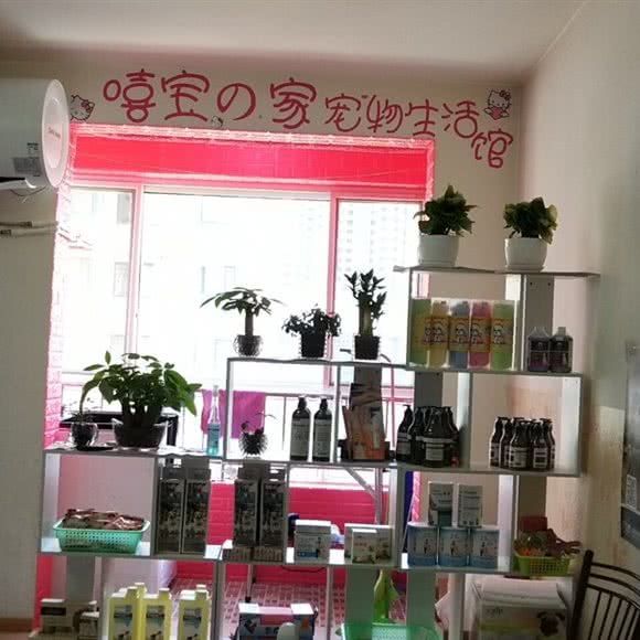 嘻宝の家宠物生活馆:西安市莲湖区土门附近