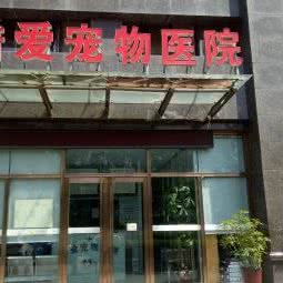 酷爱宠物医院:西安市莲湖区土门附近