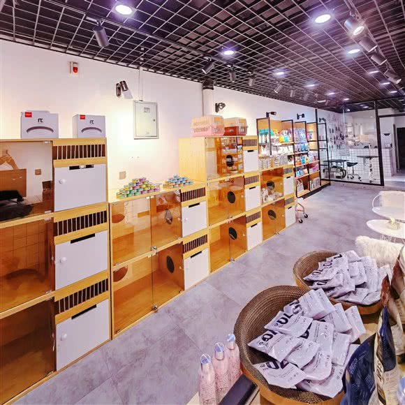 瞌睡喵宠物生活馆:西安市莲湖区红庙坡附近