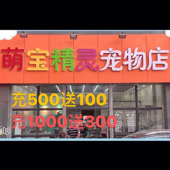 萌宝精灵宠物店:西安市莲湖区红庙坡附近