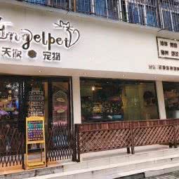 天使宠物:西安市莲湖区红庙坡附近