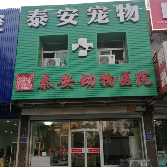 泰安动物医院:唐山市路北区凤城国际附近