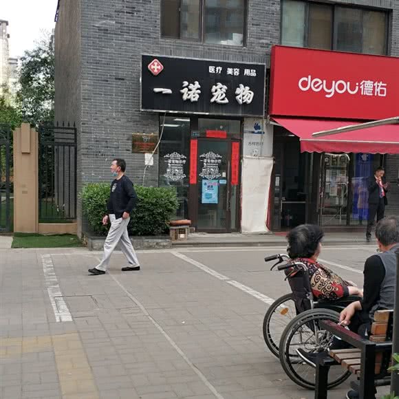 一诺宠物:西安市莲湖区红庙坡附近