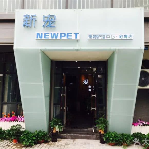 新宠宠物店:西安市莲湖区丰庆公园附近