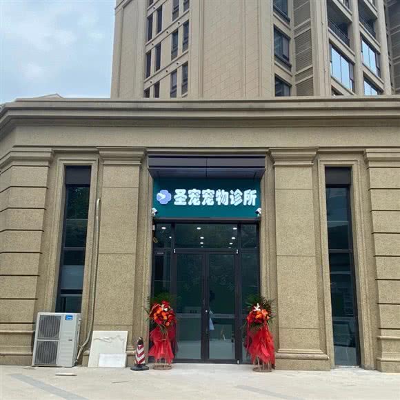 圣宠宠物诊所:西安市莲湖区汉城路沿线附近