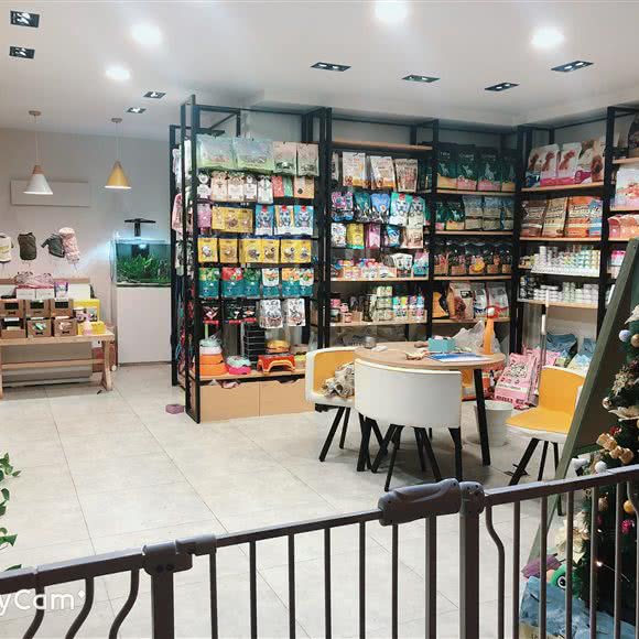 芭乐宠物:西安市莲湖区大兴新区附近