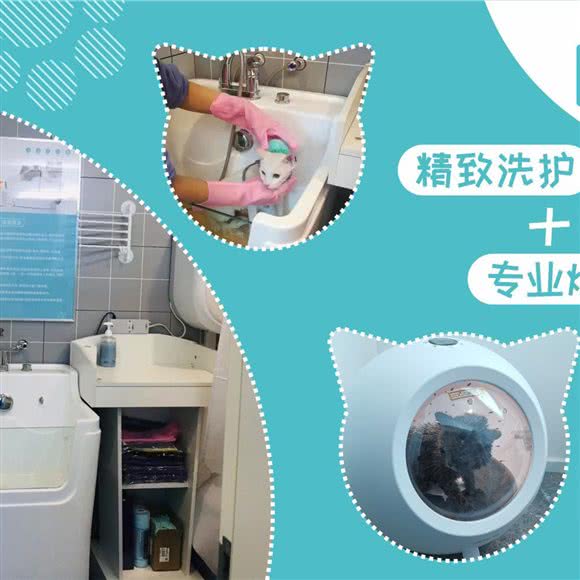 猫多多猫咪寄养酒店:西安市莲湖区大兴新区附近