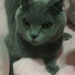 ME&IT宠物生活馆:西安市莲湖区大兴新区附近