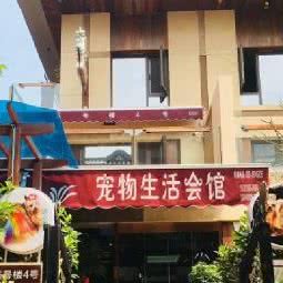 约克之夏匠心丽舍宠物生活会馆:西安市莲湖区大兴新区附近