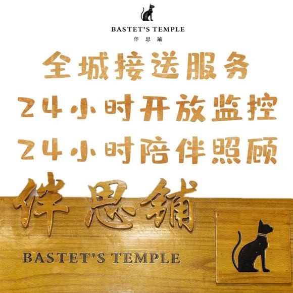 伴思铺猫咪寄养高端酒店:西安市莲湖区大兴新区附近